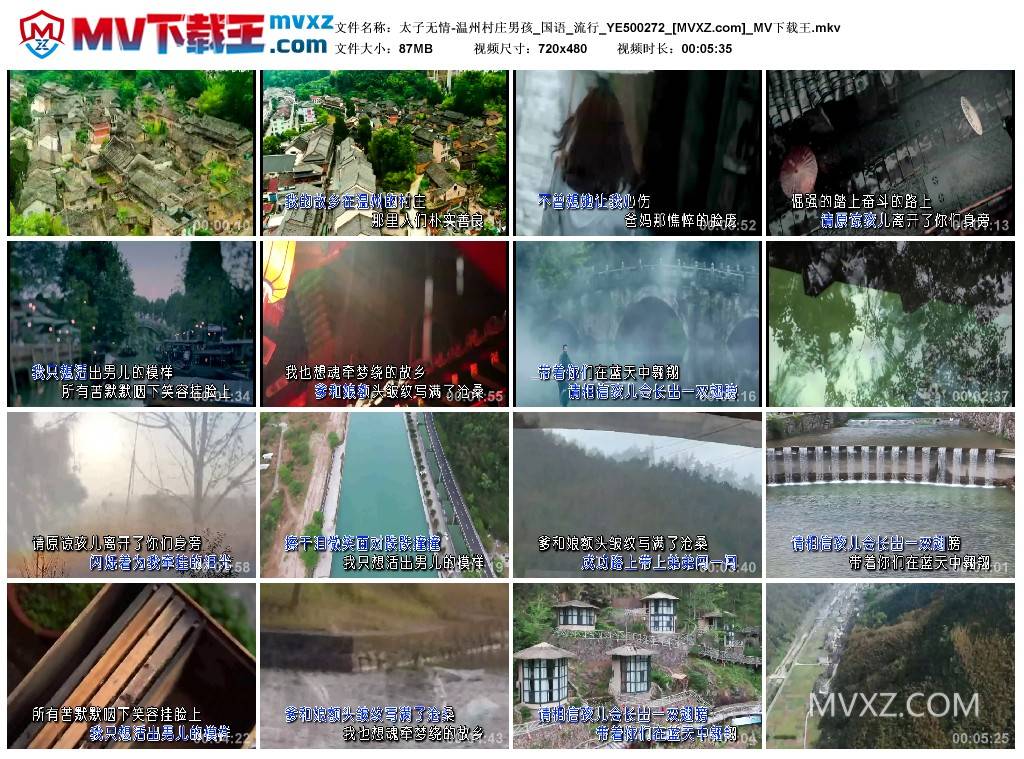 太子无情-温州村庄男孩_国语_流行_YE500272
